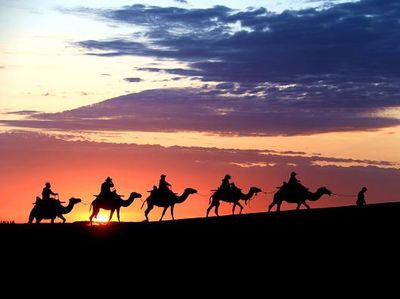 Seru! Sensasi Keliling Gurun Pasir di China Naik Unta