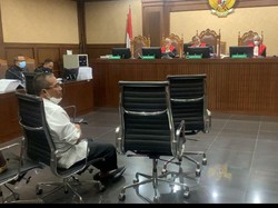 Tepis Edy Mulyadi, Saksi Sebut Wilayah Inti IKN Tak Ada Lubang Tambang