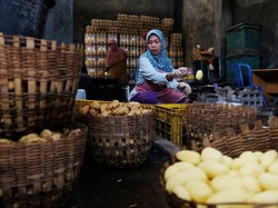 Kinerja Kepabeanan & Cukai Ikut Andil Bikin Surplus Neraca Perdagangan