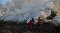 Aksi Damkar Berjibaku Padamkan Kebakaran Lahan di Ogan Ilir