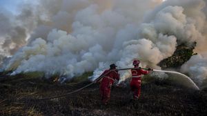 Aksi Damkar Berjibaku Padamkan Kebakaran Lahan di Ogan Ilir