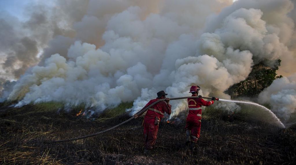Aksi Damkar Berjibaku Padamkan Kebakaran Lahan di Ogan Ilir Aksi Damkar Berjibaku Padamkan Kebakaran Lahan di Ogan Ilir