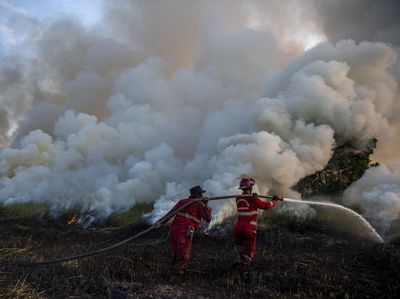 Aksi Damkar Berjibaku Padamkan Kebakaran Lahan di Ogan Ilir