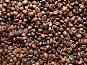 Top! 19 Ton Kopi Robusta RI Terbang Sampai ke Mesir