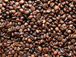 Top! 19 Ton Kopi Robusta RI Terbang Sampai ke Mesir