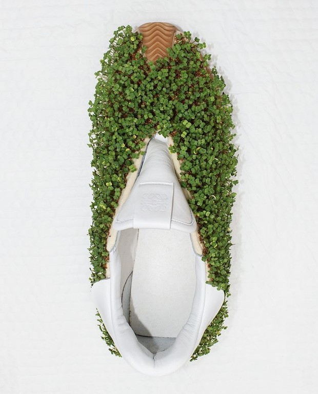 Sneakers Loewe yang ditumbuhi tanaman/