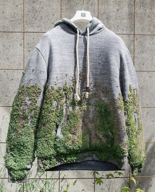 Hoodie yang ditumbuhi tanaman/