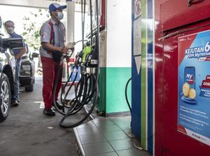 MUI Haramkan Orang Kaya Pakai Pertalite dan LPG 3 Kilogram, Ini Alasannya MUI Haramkan Orang Kaya Pakai Pertalite dan LPG 3 Kilogram, Ini Alasannya