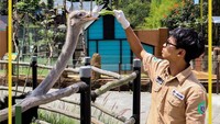 Kapan Lembang Park & Zoo Dibuka Lagi?