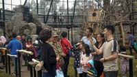 Serunya Main di Lembang Park & Zoo: Kasih Makan Hewan-Berburu Foto