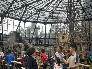 Serunya Main di Lembang Park & Zoo: Kasih Makan Hewan-Berburu Foto
