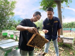 Lewat Shopee, Mantan Pegawai Bank Ini Jual 3 Ton Madu Tiap Bulan