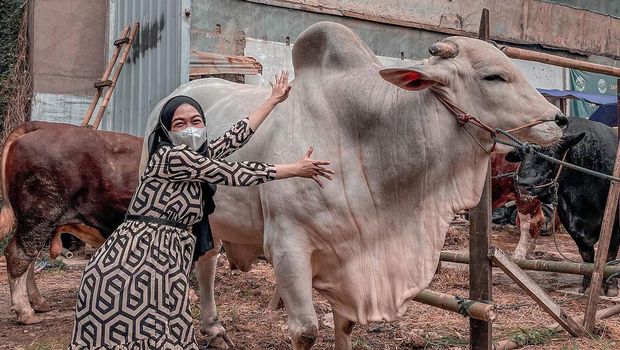Ria Ricis dan sapi kurban
