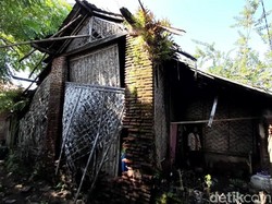 Miris, Keluarga di Brebes Ini Tinggali Rumah Lapuk Tanpa Jamban dan Listrik