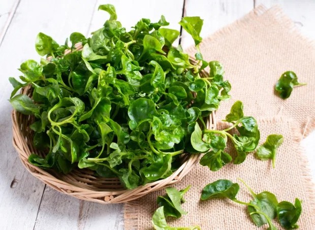 Sayuran hijau yang baik dikonsumsi setiap hari - Selada air/Foto: shutterstock
