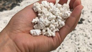 Tampak Enak dan Bikin Lapar, 10 Benda Ini Ternyata Bukan Makanan!