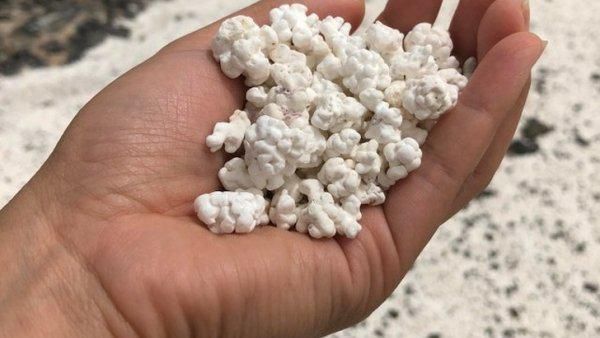 Tampak Enak dan Bikin Lapar, 10 Benda Ini Ternyata Bukan Makanan!