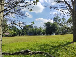 Viral Rumput Rusak Usai Konser Musik, Ini Kata Pengelola Kebun Raya Bogor