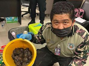 Buset..2 Turis India Ini Bawa 109 Hewan Hidup di Bagasi