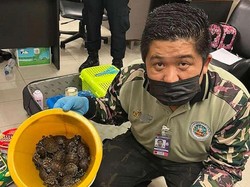 Buset..2 Turis India Ini Bawa 109 Hewan Hidup di Bagasi