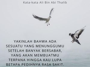 25 Kata-kata Ali bin Abi Thalib Tentang Jodoh yang Inspiratif, Bikin Tenang 25 Kata-kata Ali bin Abi Thalib Tentang Jodoh yang Inspiratif, Bikin Tenang
