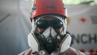 Kendalikan PMK, Mentan Launching Gerakan Disinfeksi Nasional