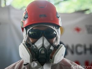 Kendalikan PMK, Mentan Launching Gerakan Disinfeksi Nasional