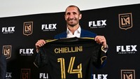 Chiellini bakal dikontrak hingga 2023 mendatang.