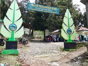 Jalur Pendakian Merbabu Dibuka Kapasitas Penuh Besok, Kecuali Selo Jalur Pendakian Merbabu Dibuka Kapasitas Penuh Besok, Kecuali Selo