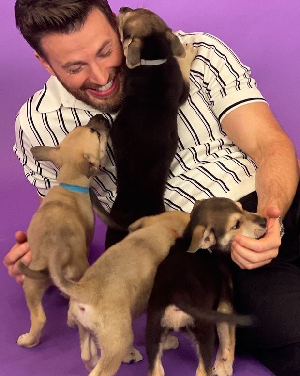 Puppy Interview