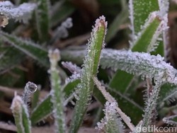 Fenomena Dieng Membeku yang Bikin Wisatawan Penasaran