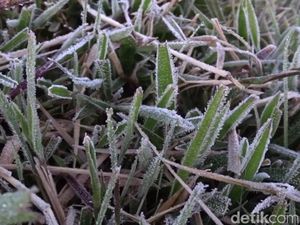 Siap-siap Lur! Embun Es Dieng Diprediksi Muncul Lagi Bulan Depan