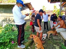 5 Warga Jembrana Digigit Anjing Rabies, Ratusan Hewan Divaksin
