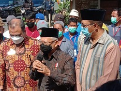 Ratusan Sapi Sempat Terjangkit PMK, Peternak di NTB Curhat ke Wapres