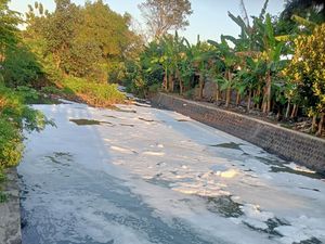 Sungai Pleret Klaten Berbusa, Diduga gegara Limbah Pencucian Drum