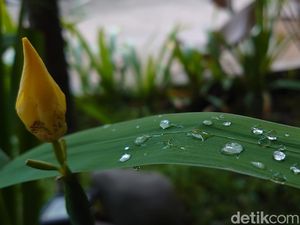 Jakarta-Depok-Bekasi Biasa Gerah Terasa Dingin, Ini Penyebabnya Jakarta-Depok-Bekasi Biasa Gerah Terasa Dingin, Ini Penyebabnya