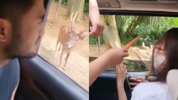 Wulan Guritno dan Sabda Ahessa Wulan Guritno dan Sabda Ahessa