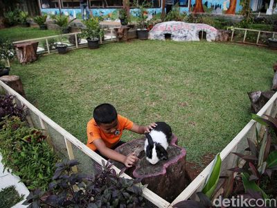 Ada Taman Kelinci Lho di Jakarta, Anak-anak Pasti Suka