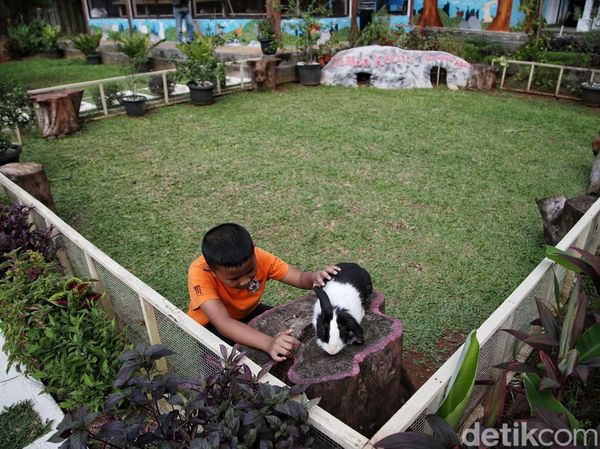 Ada Taman Kelinci Lho di Jakarta, Anak-anak Pasti Suka