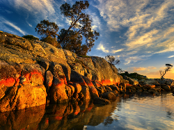3 Rekomendasi Wisata yang Wajib Dikunjungi saat Berlibur ke Tasmania