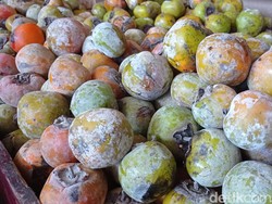 7 Jenis Buah yang Sudah Langka di Indonesia