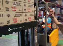 CJ Logistics Kenalkan Palet Zero-Carbon, Dibuat dari Sampah Plastik