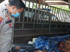 Dalih Pria yang Diduga Hendak Jual Daging Sapi Tak Layak ke Jember Dalih Pria yang Diduga Hendak Jual Daging Sapi Tak Layak ke Jember