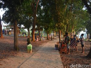 Taman Mahoni Lamongan, Wisata Alam dengan Suasana Sejuk Menenangkan