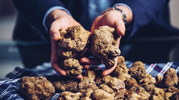 Italian White Alba Truffle