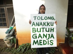 Untung-Buntung Legalisasi Ganja bagi Kesehatan