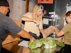 Manfaatkan Lahan Tidur, Pasangan Ini Sukses Tanam 27 Jenis Talas Organik