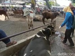 Sebulan Ditutup, Pasar Hewan Pasuruan Akhirnya Dibuka Jelang Idul Adha