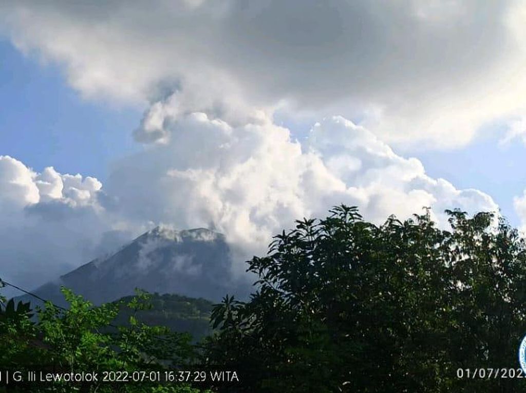 Gunung Ili Lewotok Erupsi, Muntahkan Abu Vulkanik Setinggi 1.500 Meter