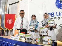 Inovatif! Peneliti IPB Kembangkan Racikan Herbal Untuk Mengatasi PMK